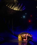 Lady_Gaga_Presents_The_Monster_Ball_Tour_-_Live_At_Madison_Square_Garden_HBO-HD_1080i_DD5_1-ALANiS_4201.jpg